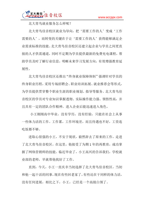 北大青鸟就业服务