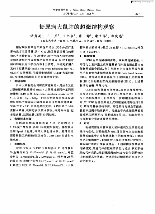 糖尿病大鼠肺的超微结构观察