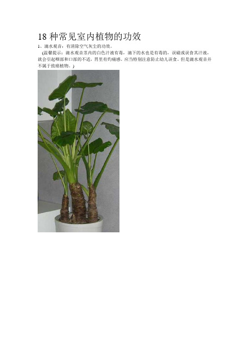 18种常见室内植物的功效