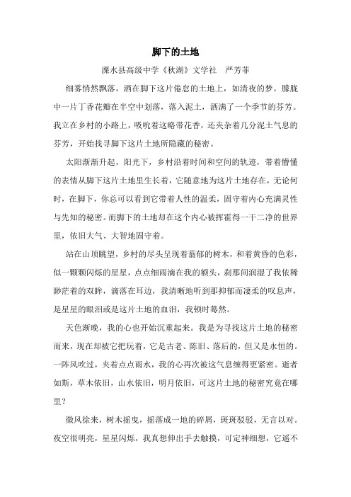 脚下的土地