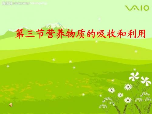 营养物质的吸收和利用课件1