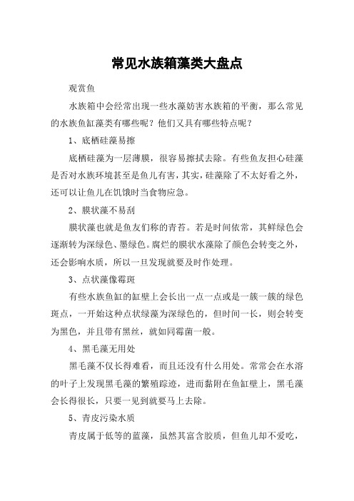 常见水族箱藻类大盘点