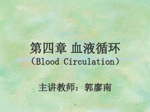 生理学课件 第四章 血液循环