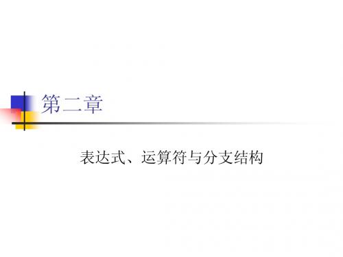表达式、运算符与分支结构