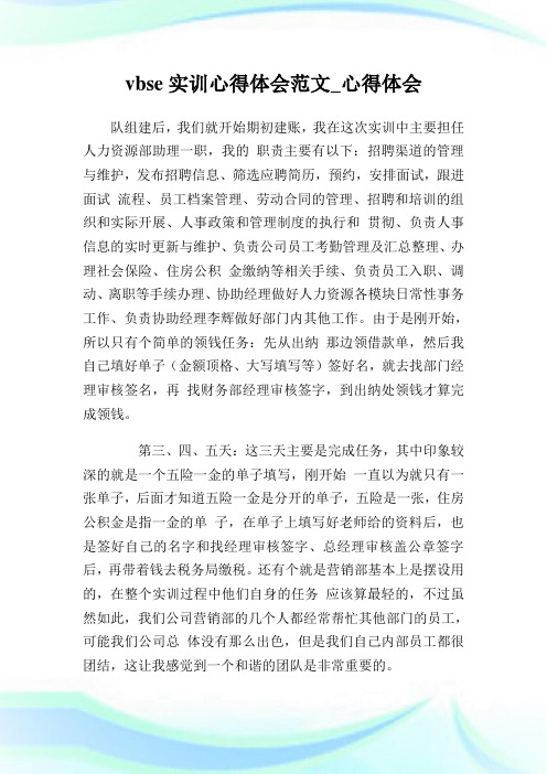 vbse实训心得体会范文_心得体会.doc