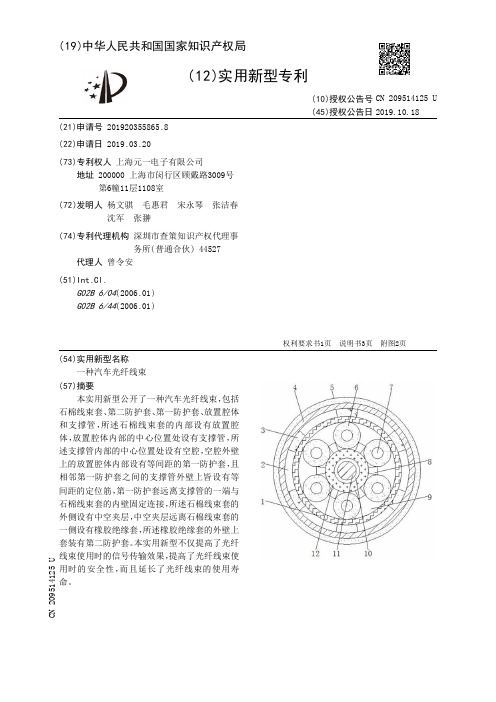 【CN209514125U】一种汽车光纤线束【专利】