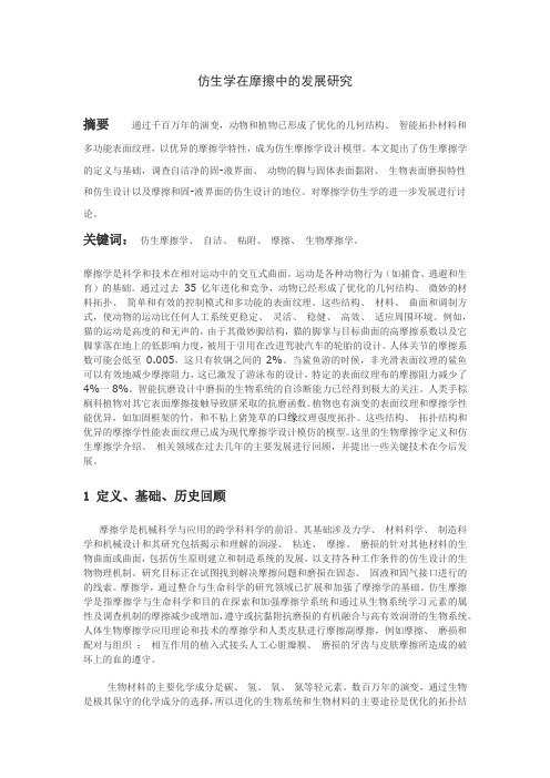 仿生学在摩擦中的发展研究