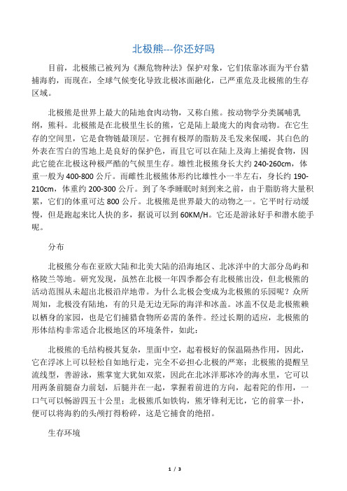 北极熊简介
