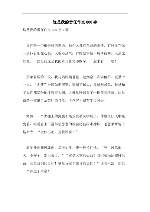 这是我的责任作文600字