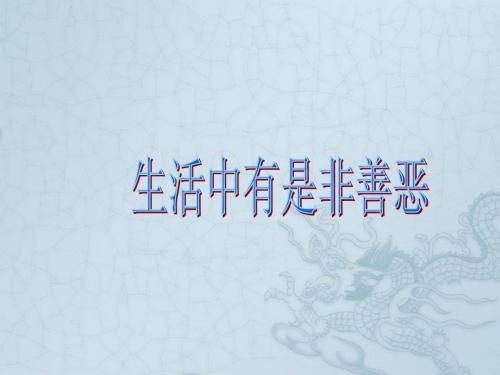 七年级政治下册 17课 看社会 辩是非课件 鲁教版