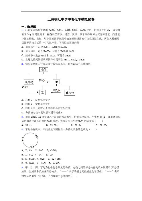 上海徐汇中学中考化学模拟试卷