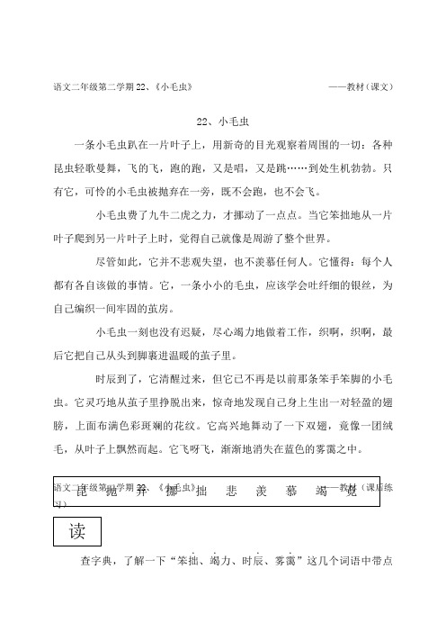《小毛虫》原文