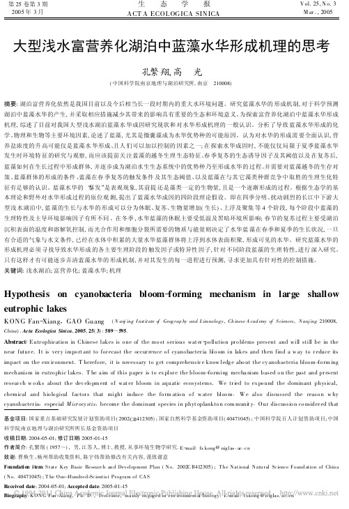 大型浅水富营养化湖泊中蓝藻水华形成机理的思考