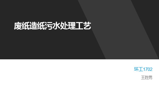 废纸造纸废水处理工艺