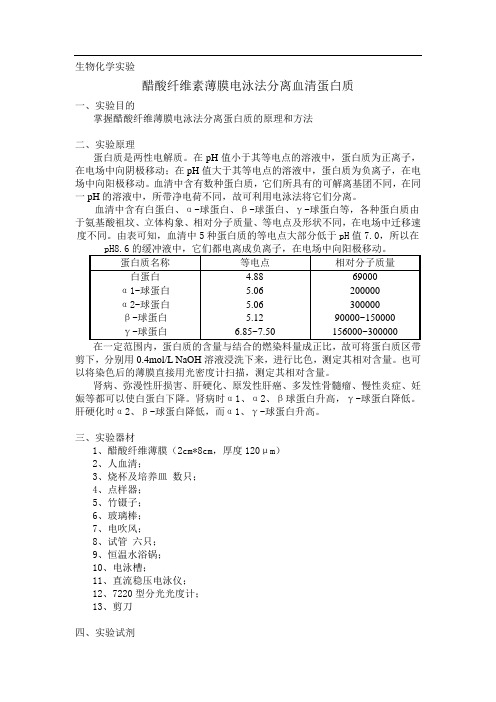 醋酸纤维素薄膜电泳法分离血清蛋白质