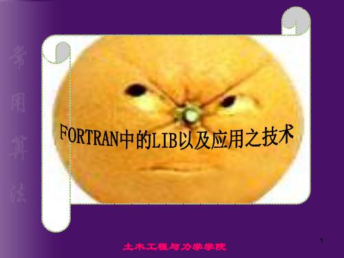 FORTRAN调用FORTRAN的LIB