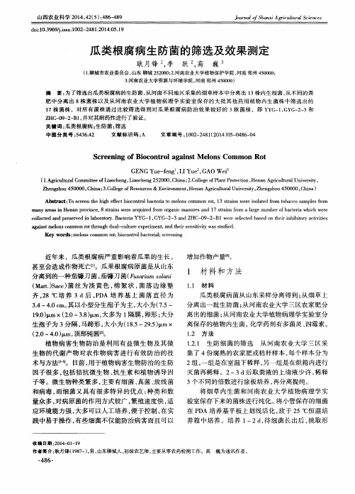 瓜类根腐病生防菌的筛选及效果测定