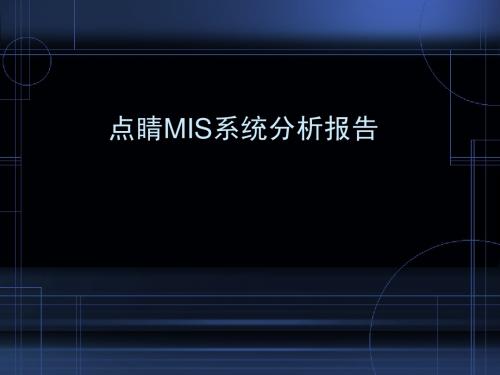 点睛MIS系统分析报告