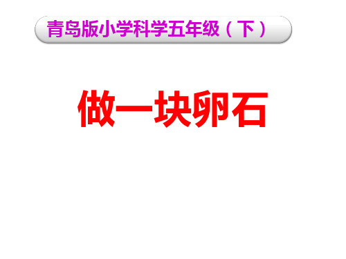青岛版小学科学五年级下册《做一块卵石》优秀课件