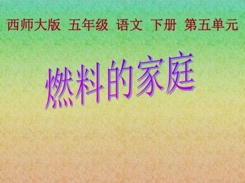《燃料的家庭》PPT课件 (共11张PPT)