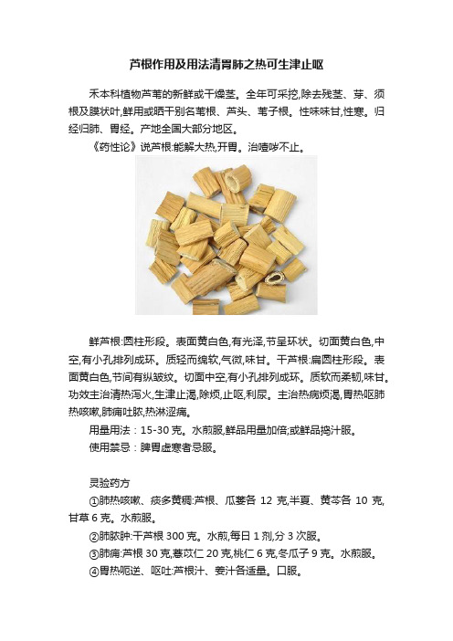 芦根作用及用法清胃肺之热可生津止呕