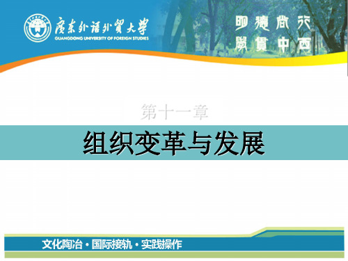 11组织变革与发展