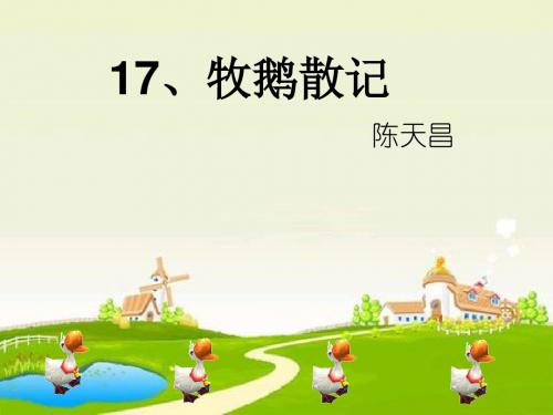 17牧鹅散记
