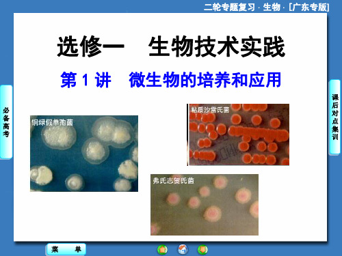 详细：选修一微生物的培养与应用解析