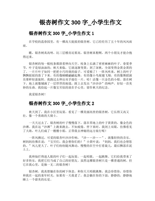 银杏树作文300字小学生作文
