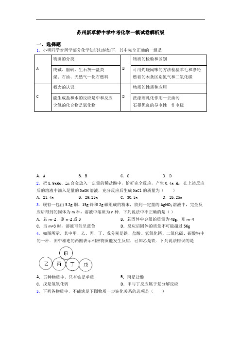 苏州新草桥中学中考化学一模试卷解析版