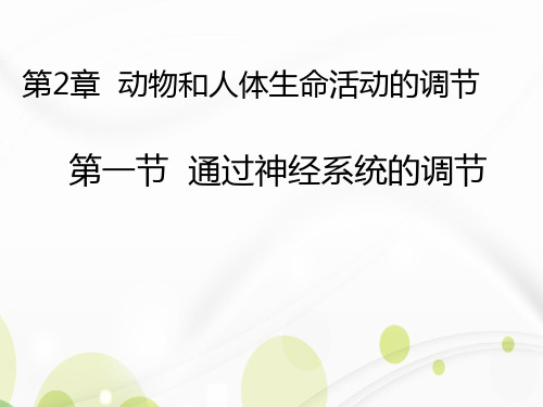 人教版高中生物必修三第2章第1节通过神经系统的调节课件