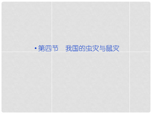 高中地理 第二章 第四节 我国的虫灾与鼠灾课件 湘教版