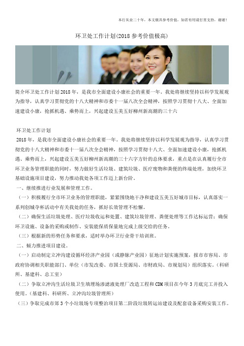 环卫处工作计划(2018参考价值极高)