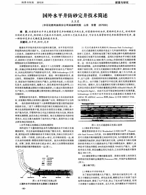 国外水平井防砂完井技术筒述