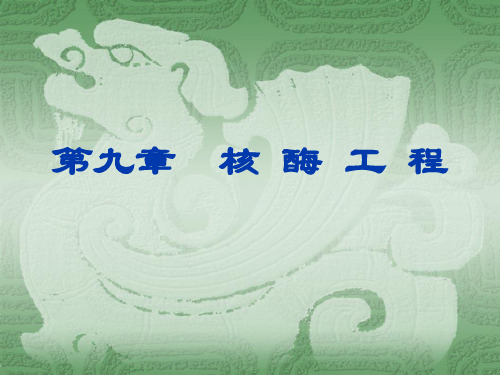 09-核酶