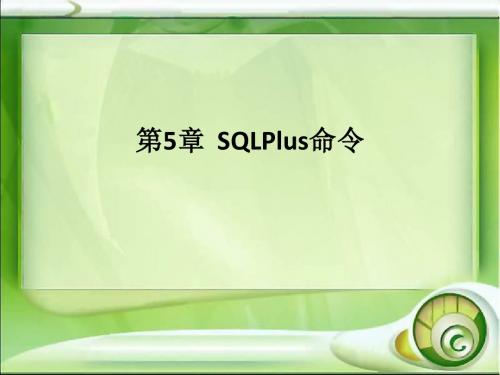 Oracle数据库基础及应用 第05章  SQLPlus命令解析