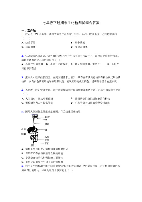 七年级下册期末生物检测试题含答案