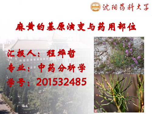 乳香化学成分的研究