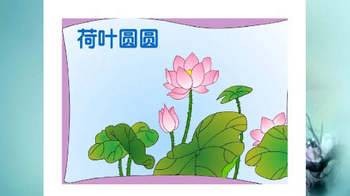 部编版《荷叶圆圆》优秀PPT3
