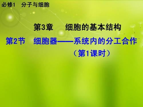 高中生物《第三章 第二节 细胞器 系统内的分工合作》课件3 新人教版必修1
