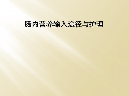 肠内营养输入途径与护理