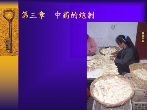 03中药炮炙