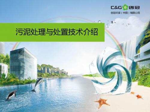 污泥的处理与处置
