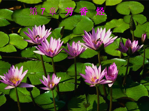 有机化学第7章,ppt课件