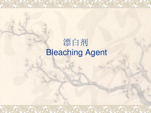 漂白剂(Bleaching Agents)