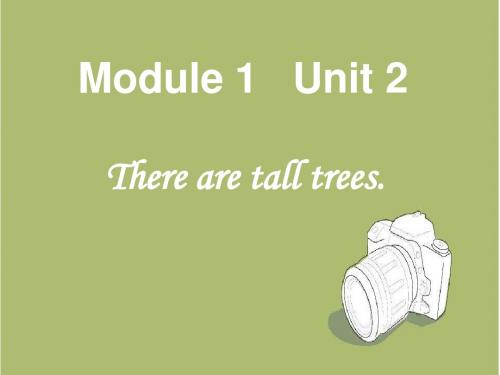 【外研版】(一起)五上：M1《U2 There are tall trees now》ppt课件(1)