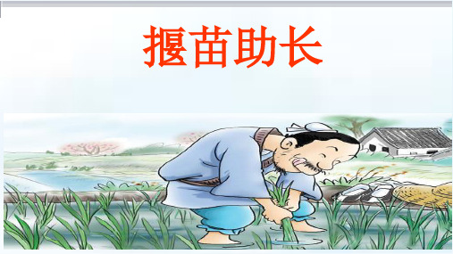 《揠苗助长》
