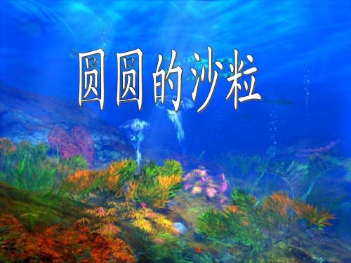 三年级语文-圆圆的沙粒_ppt
