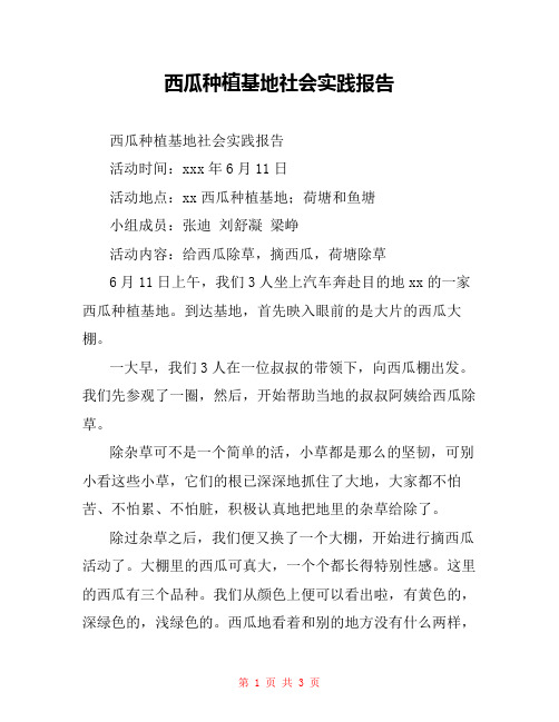 西瓜种植基地社会实践报告