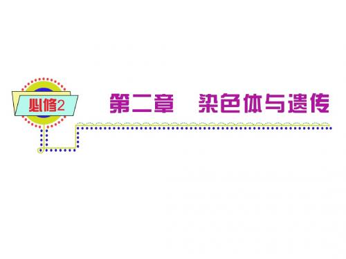 浙江浙科版新课标高中总复习(第1轮)生物：必修2第2章_第2节_遗传的染色体学说